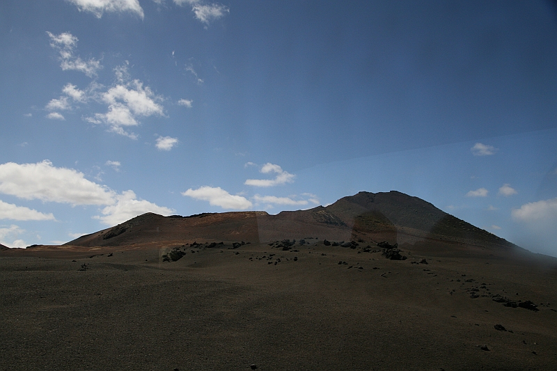 Kanary_2010 091